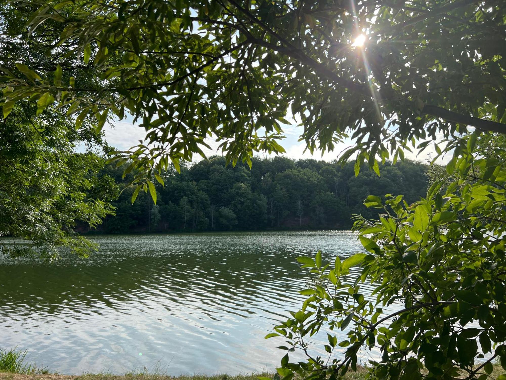 Ferienwohnungen Brenner Einchecken Und Wohlfuehlen Langenbernsdorf Extérieur photo